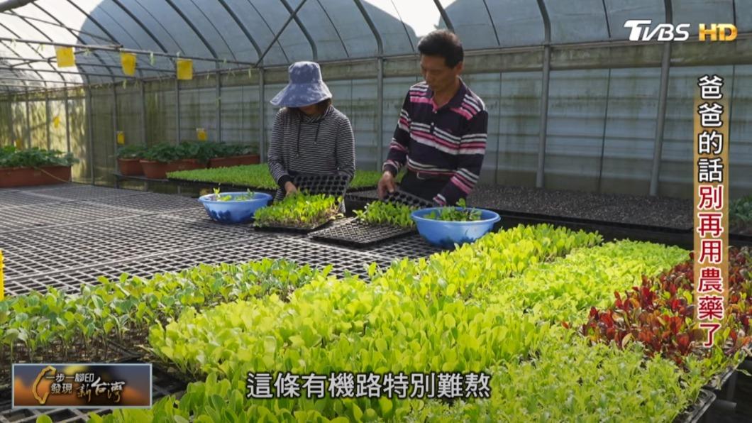 有機農夫 簡連生