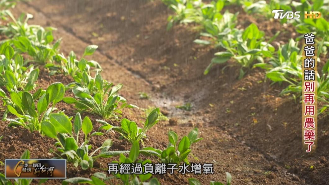 山泉水灌溉