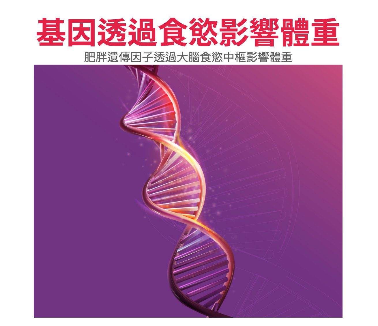 肥胖基因讓人特別愛吃。(圖/翻攝自一分鐘健身教室臉書)
