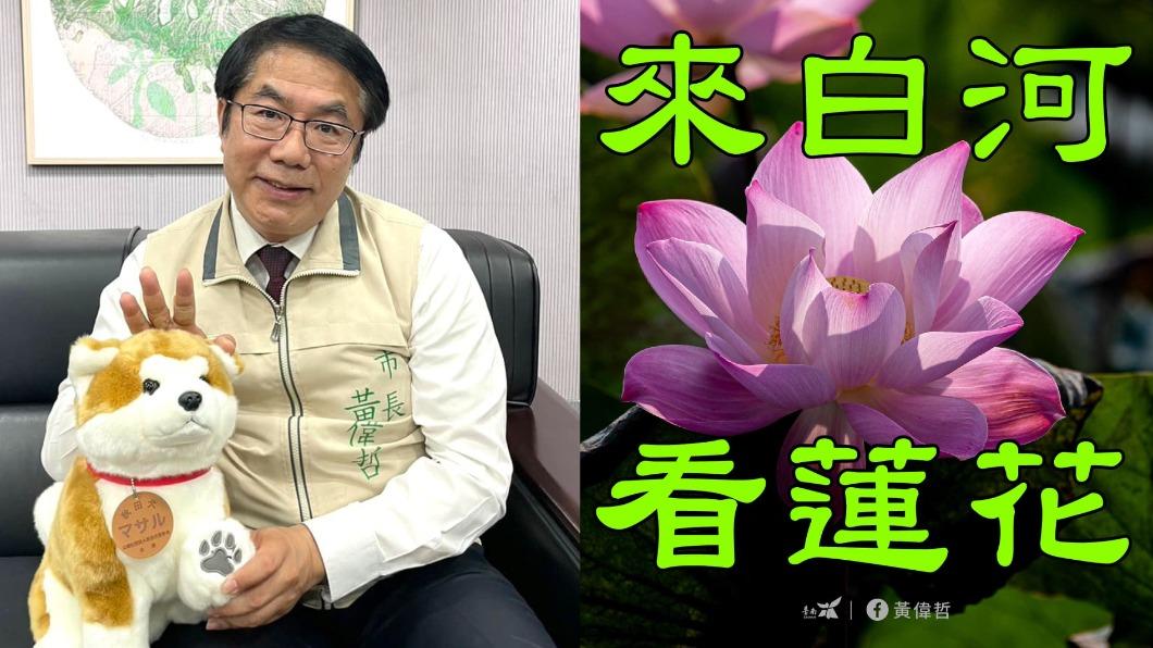 早安朋友!黃偉哲「長輩圖2.0」宣傳白河蓮花 網讚:太實用