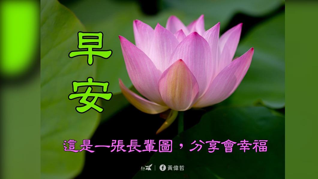 長輩圖背景都是蓮花。(圖/翻攝自黃偉哲臉書)