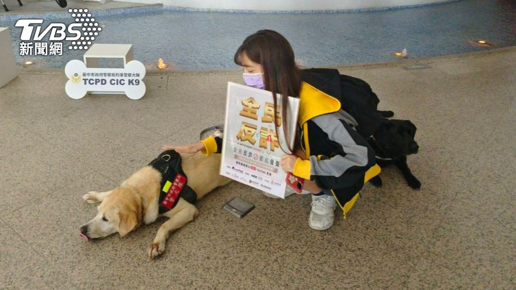 民眾忍不住伸手。（圖／TVBS）