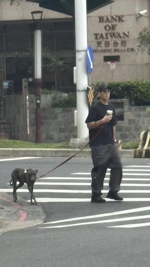 彭于晏很常被直擊在街上遛狗。(圖/翻攝自靠北天母幫臉書)
