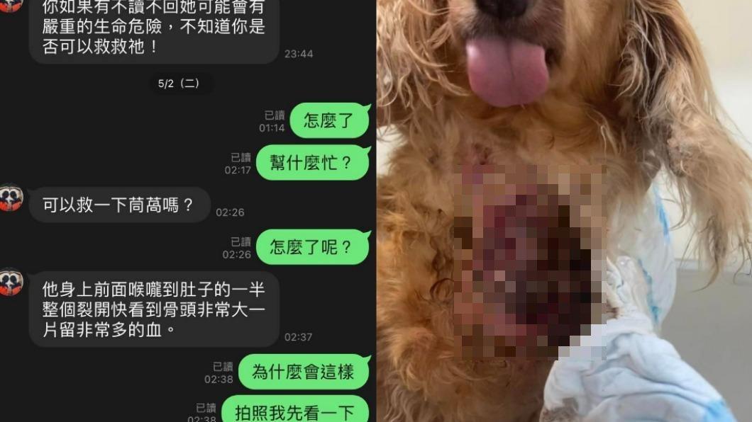 小甜甜拜託宋晉賢幫忙救狗。(圖/翻攝自宋晉賢臉書)
