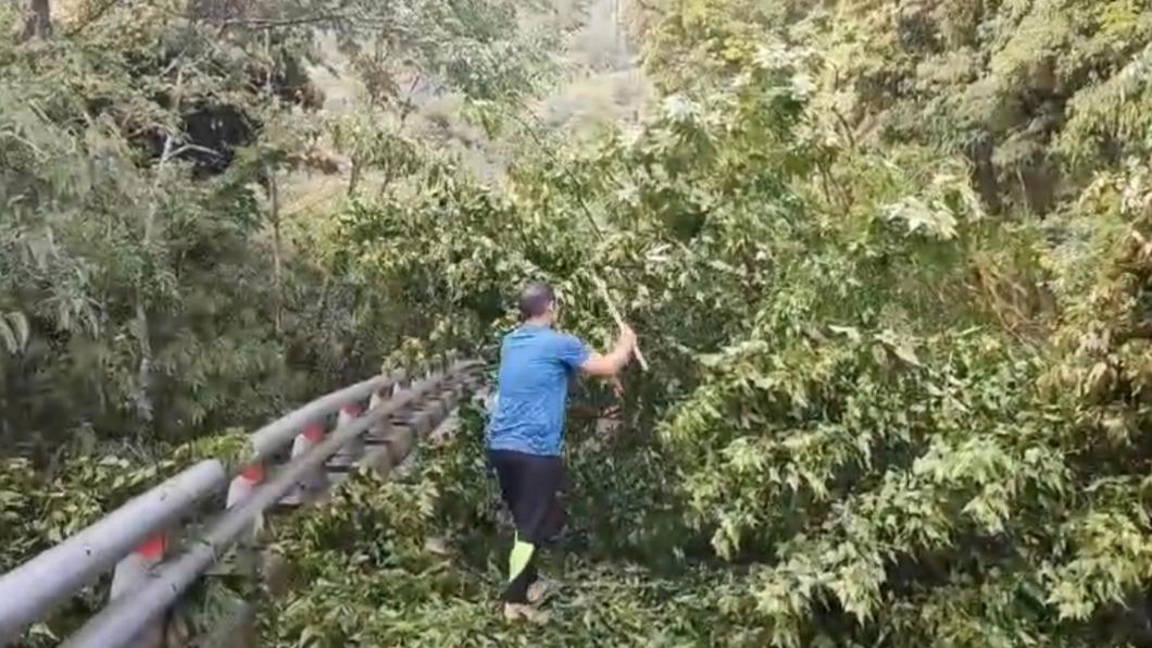 鋒面影響台東山區大雨 南橫公路大樹橫倒路面