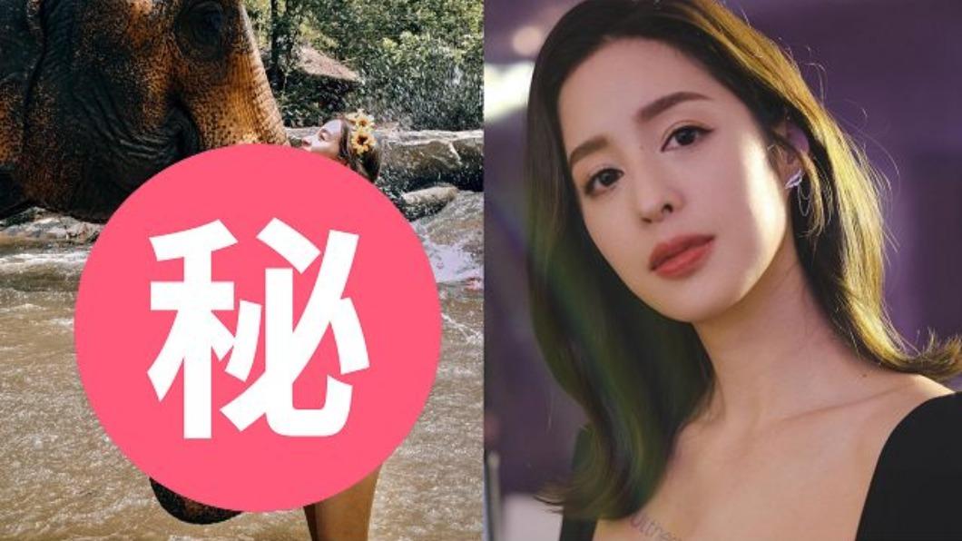 深山解放!莫允雯36歲生日圓夢「乳貼大象」:給我滿滿的愛