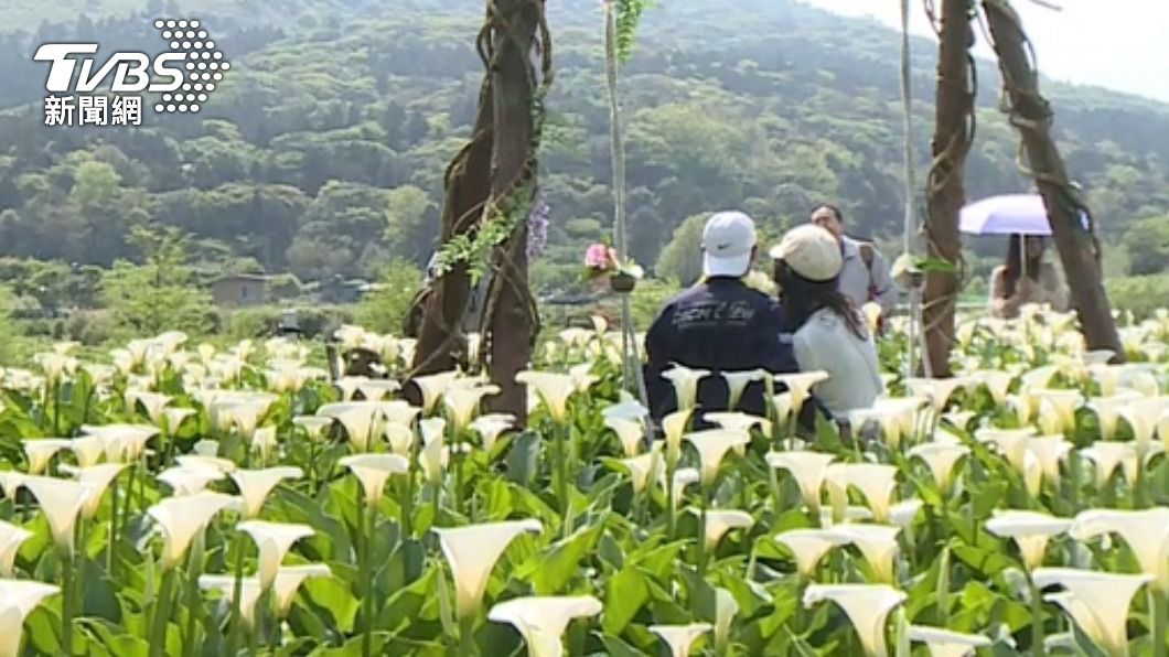 惺惺相惜情不自禁？失業人妻外遇前同事　夫抓包陽明山牽手擁吻
