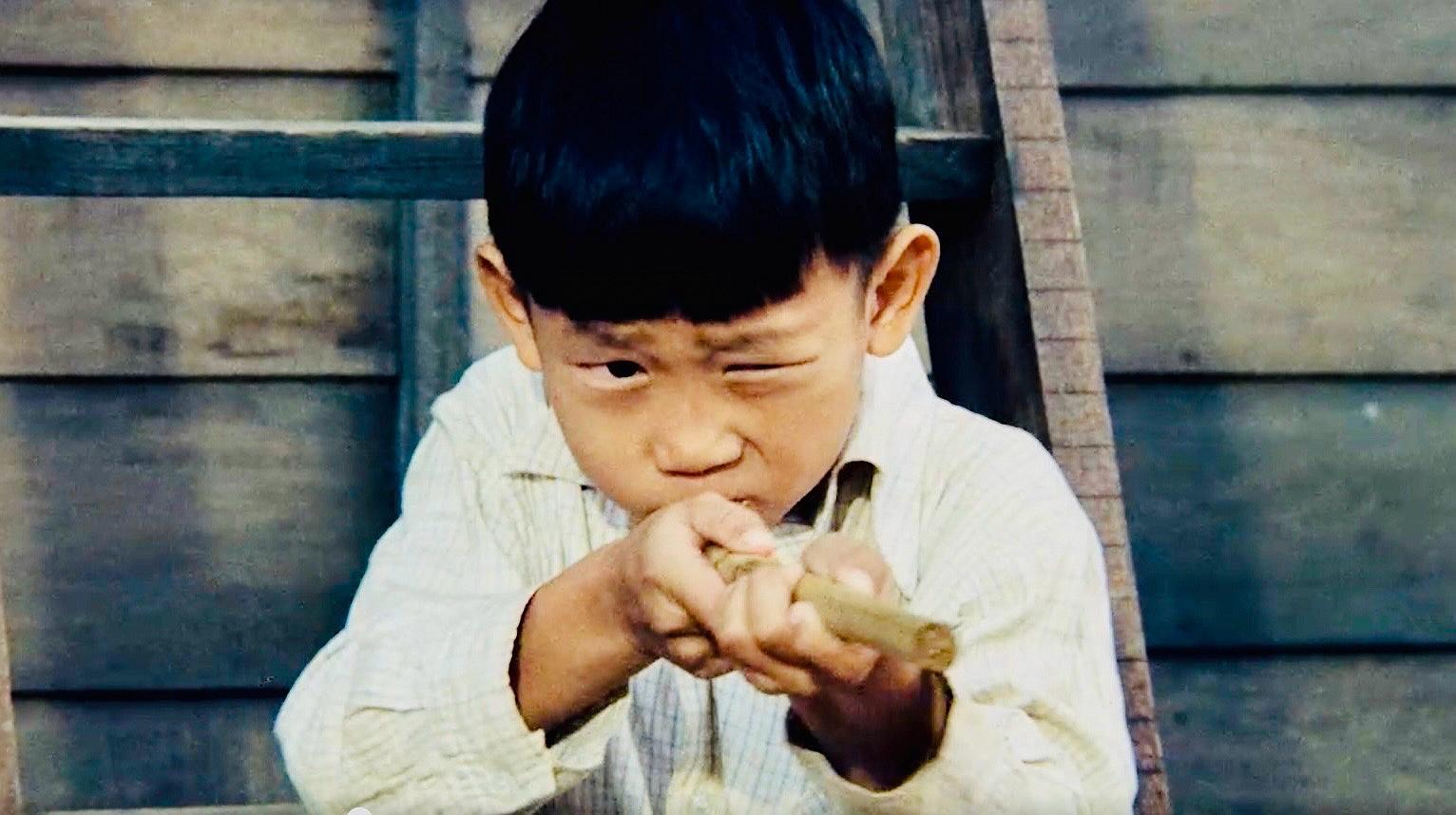 顏正國演出《油麻菜籽》的照片曝光。(圖/海鵬提供)