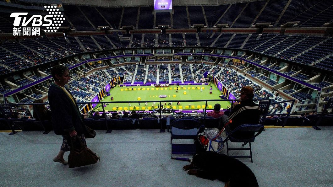西敏寺犬展在紐約金恩夫人網球場(USTA Billie Jean King National Tennis Center)盛大舉行。(圖/達志影像路透社)