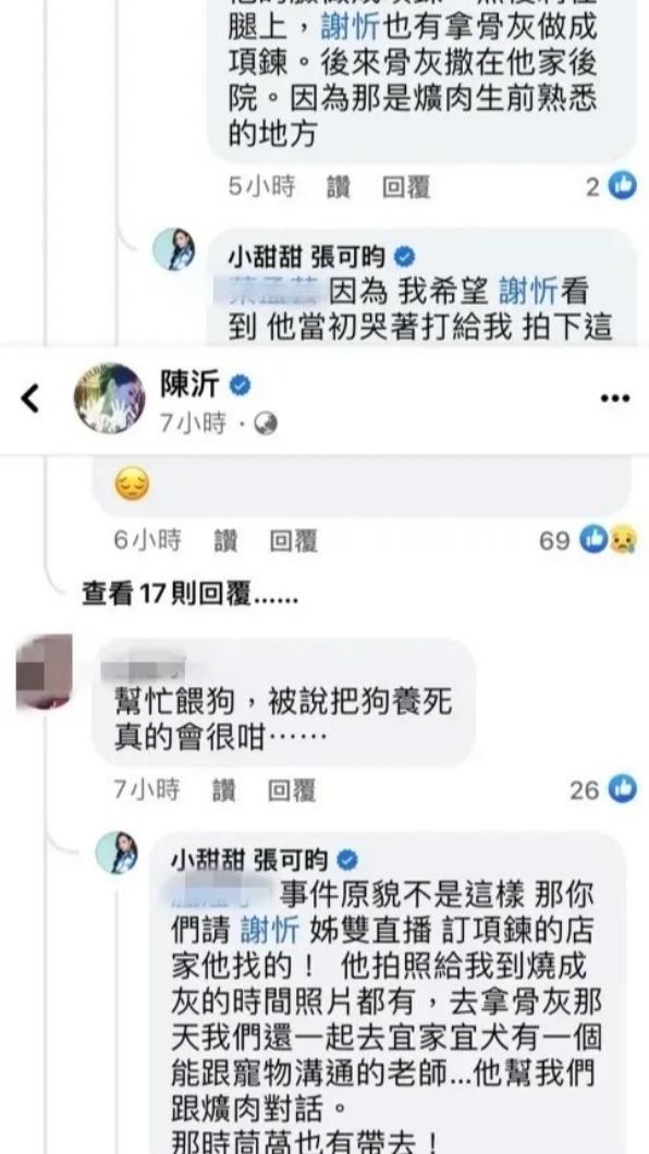 小甜甜在陳沂的版上瘋狂輸出。(圖/翻攝自陳沂臉書)