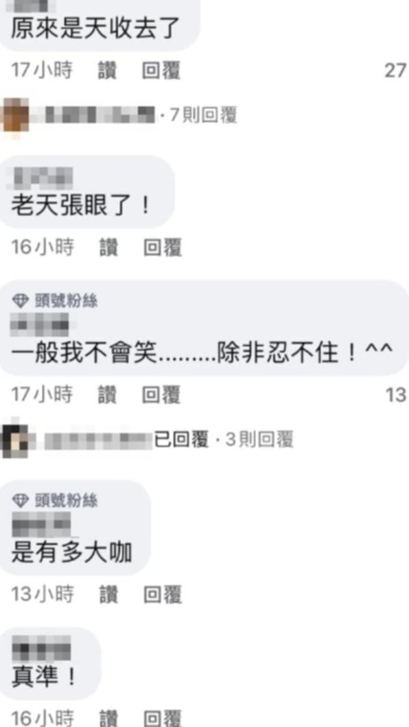 林智群截圖網友留言。（圖／翻攝自林智群律師（klaw）臉書）