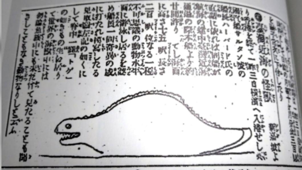 哥吉拉始祖?台灣近海曾現「巨大不明怪獸」登上日媒