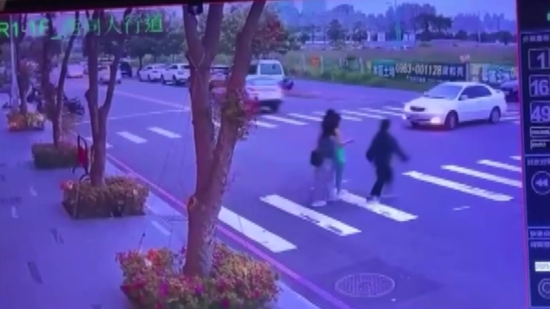 圖/翻攝自Wowtchout