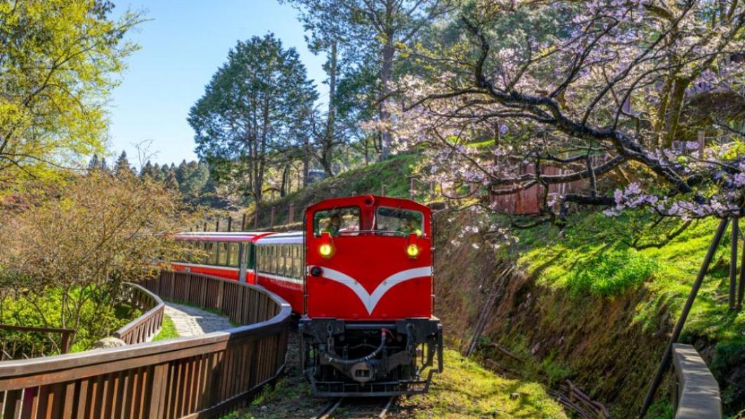 嘉義與花蓮因為自然景觀豐富,分別是日本跟韓國旅客的熱門旅遊目的地。(圖/業者提供)