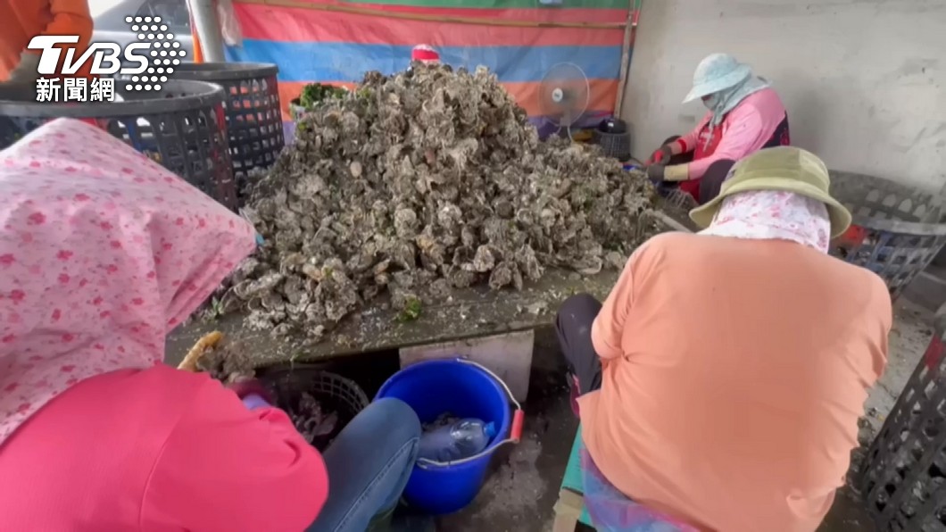 澎湖牡蠣藏珍珠！蚵農「颱風後救心血」見驚喜：當傳家之寶