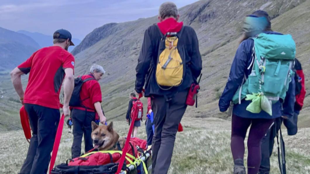 救難隊發言人指出,狗狗相當冷靜。(圖/翻攝自Keswick Mountain Rescue Team Facebook)