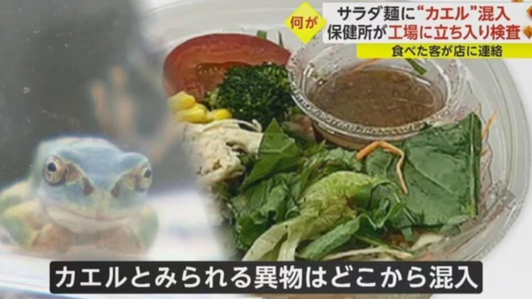買沙拉吃一口驚覺「咬到青蛙」! 網安慰:補充蛋白質吧