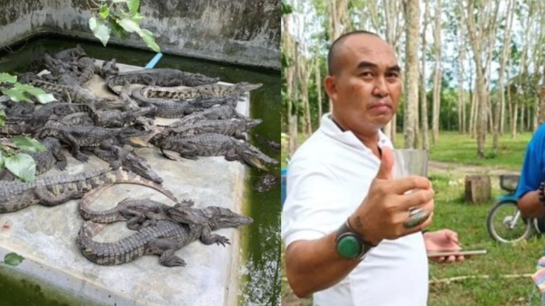超補身?體虛泰男曝獨門健康秘方:一天豪飲2次鱷魚血
