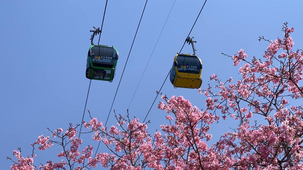 日月潭纜車驚見男女親密偷吃!畫面瘋傳 九族小編傻眼勸1句