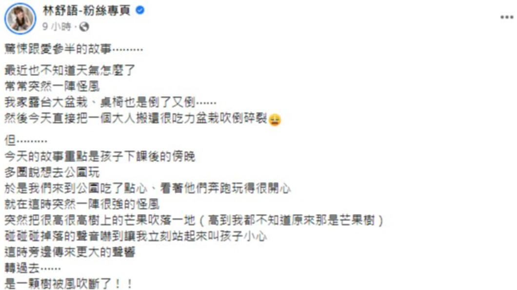 林舒語目睹怪風吹斷大樹。（圖／翻攝自林舒語臉書）