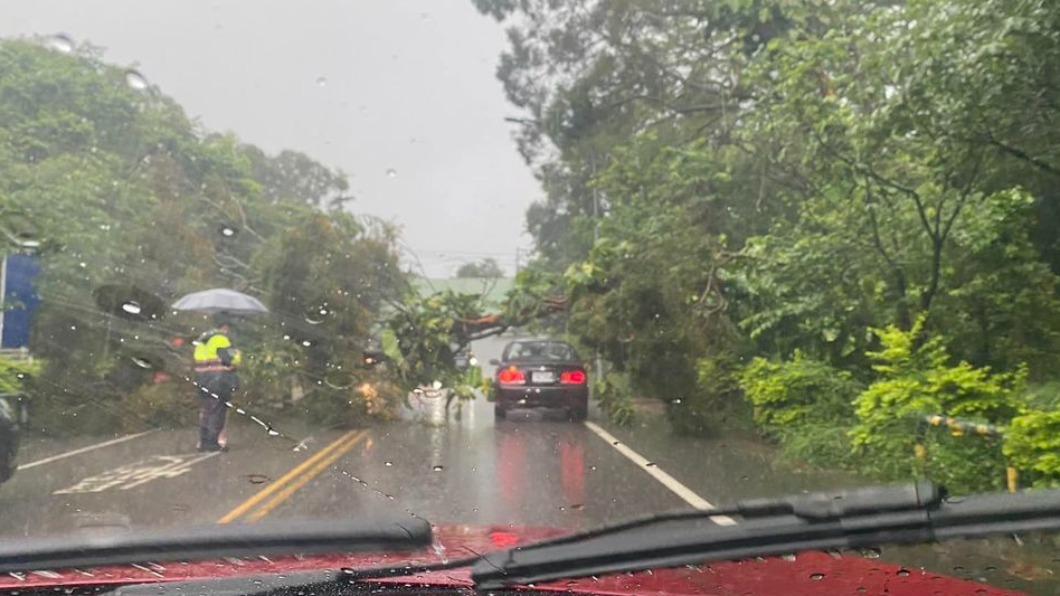 高峰路大崎公墓附近路樹倒塌。(圖/翻攝自新竹縣政府消防局第二大隊寶山分隊臉書)
