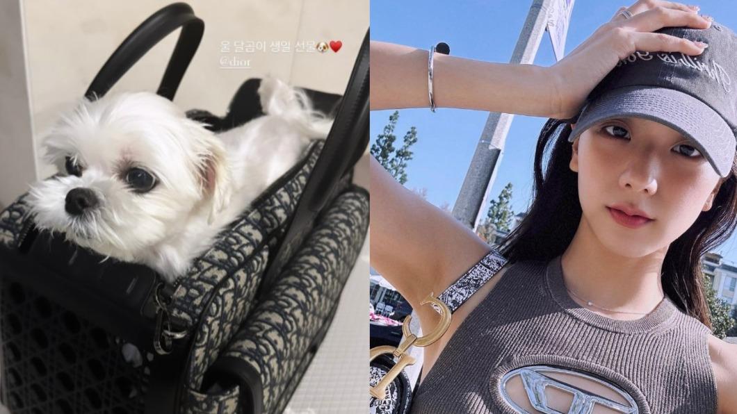 Jisoo愛犬過生日!豪送11萬大禮 粉絲羨慕:想當狗狗