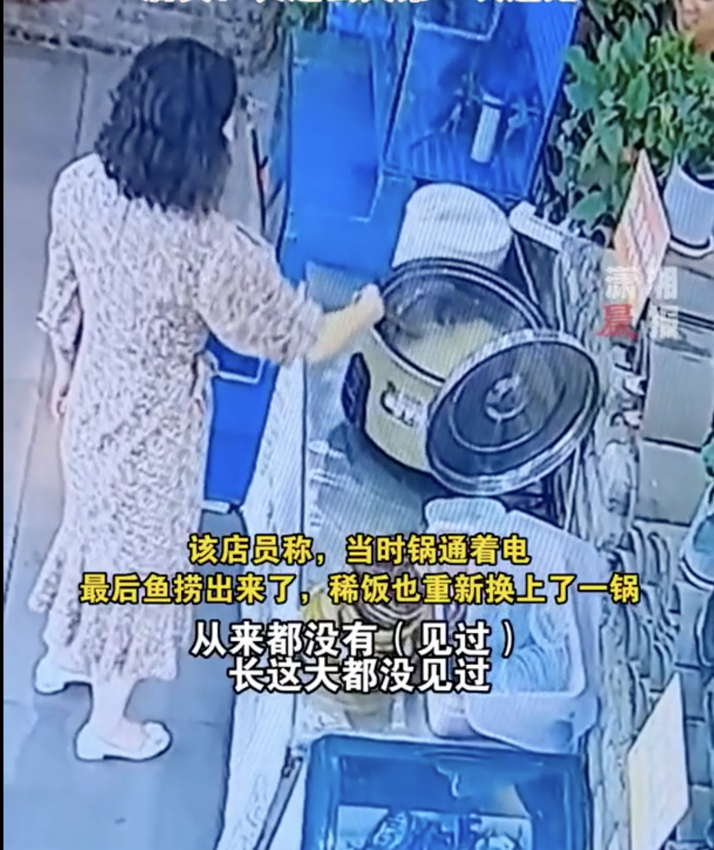 店員原本想將魚撈起來,豈料脫逃的魚已經煮熟。一隻魚從魚缸脫逃,卻掉進稀飯鍋中。(圖/翻攝自瀟湘晨報微博)