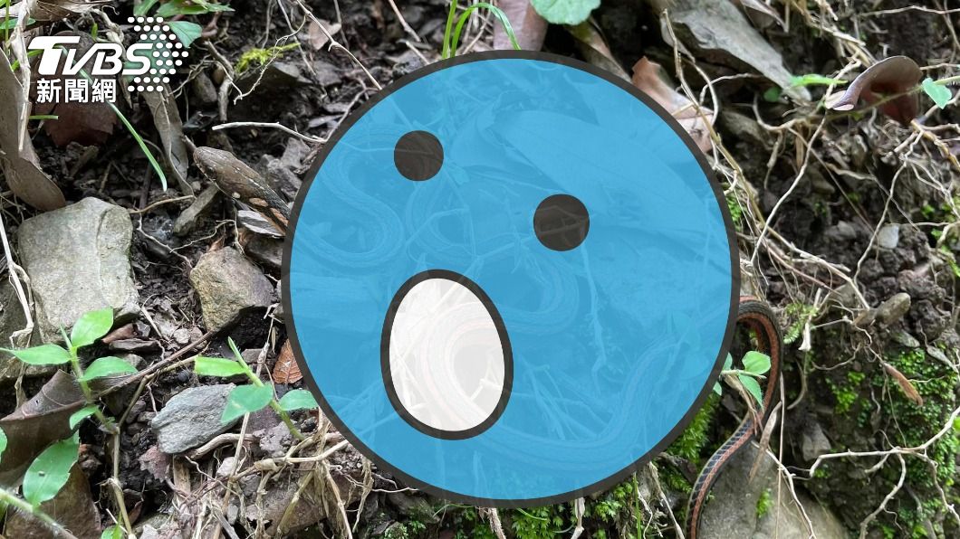 深山巧遇「一級保育」神獸 網友樂喊:中頭獎了
