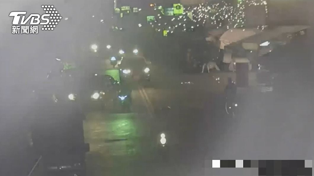 寵物鳥誤觸高壓電設備，瞬間爆出大量火花。（圖／TVBS）