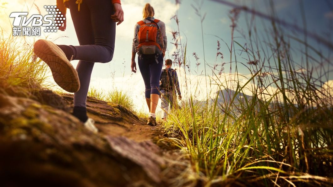 蜱蟲就是登山客口中的「8腳怪蟲」。(示意圖/Shutterstock達志影像)