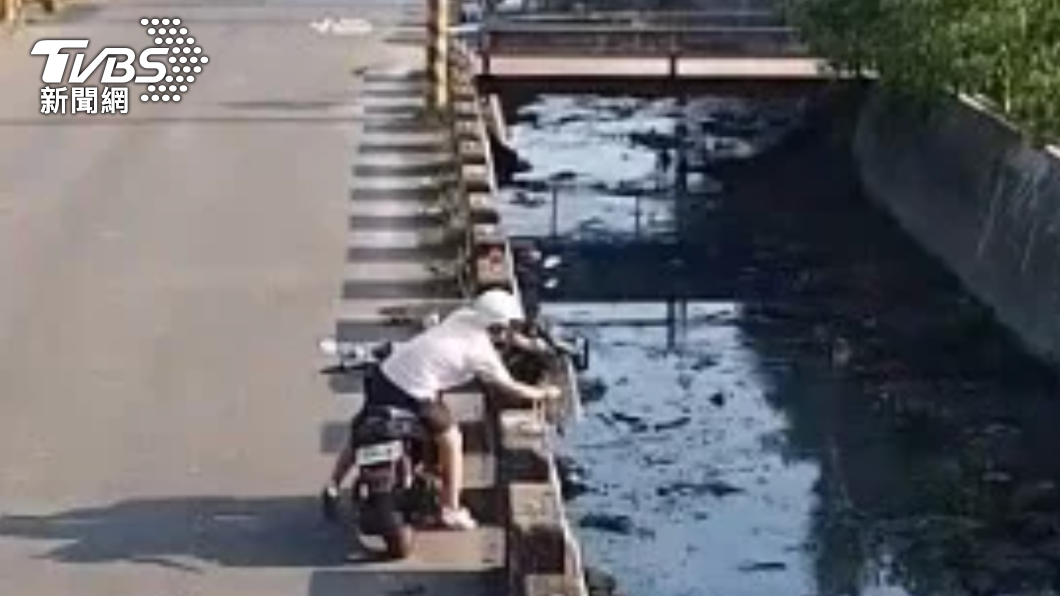 放生老鼠扔水溝！彰化男挨罰1200申訴沒用　理由曝光