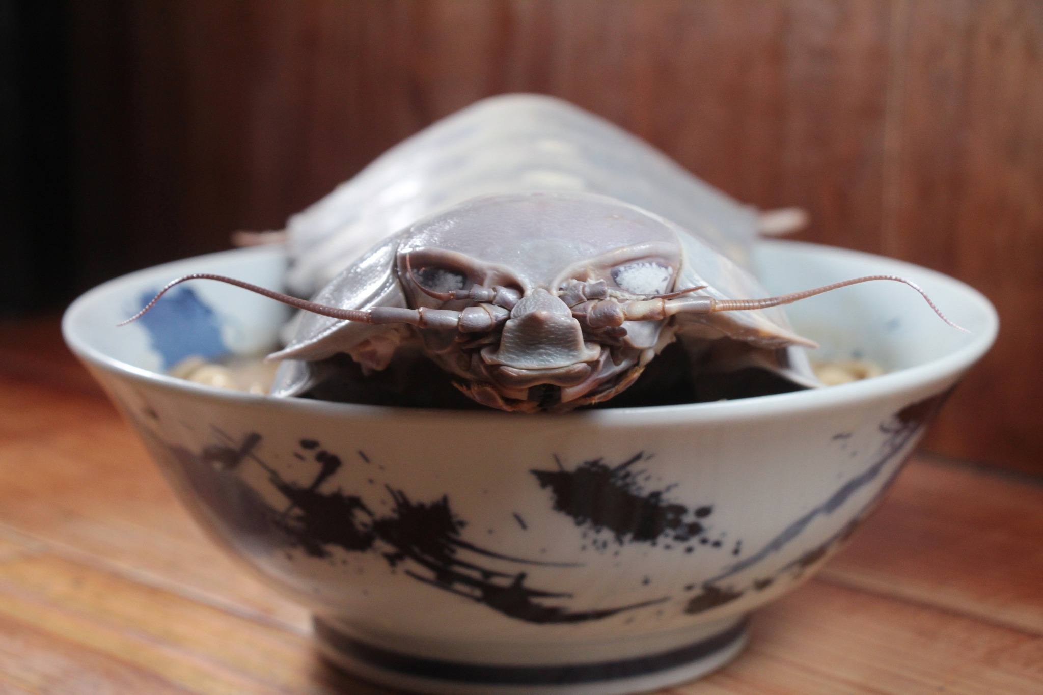 整隻大王具足蟲殼作為裝飾,趴在拉麵碗上十分震撼。(圖/翻攝自拉麵公子臉書)
