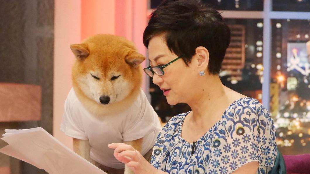Q將跟張小燕形影不離。（圖／翻攝自張小燕臉書）