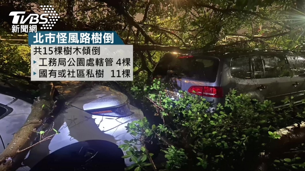 北市強風樹倒一片! 議員批:颱風來了怎辦