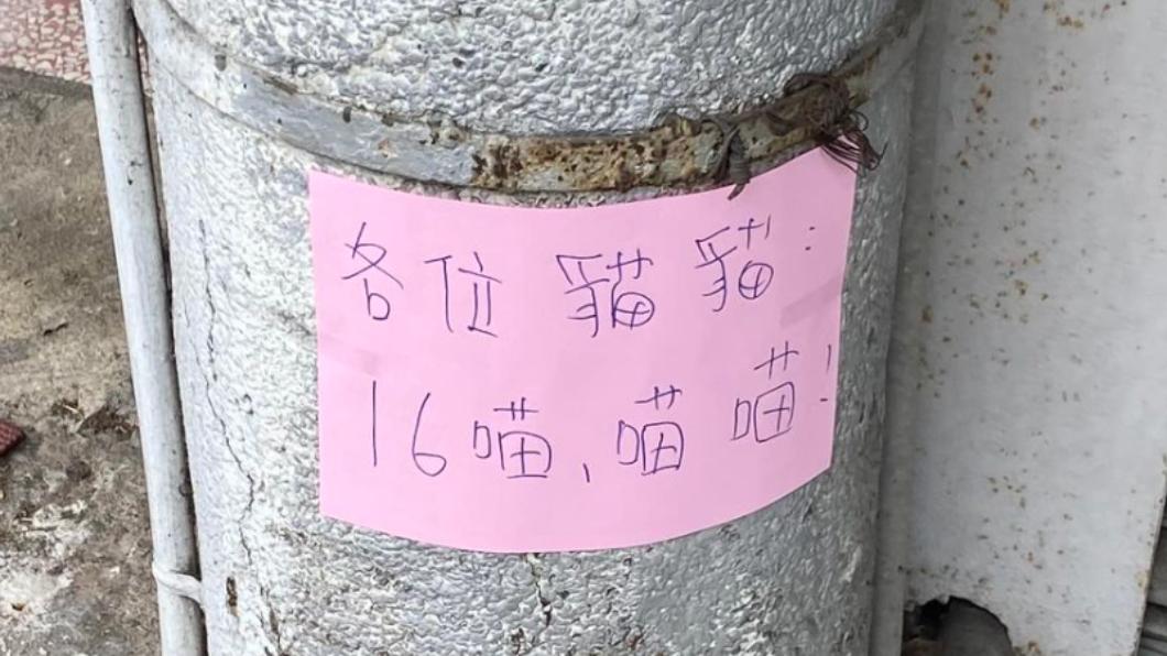 早餐店公告「16喵,喵喵」 他看傻求翻譯⋯正解曝光笑爆