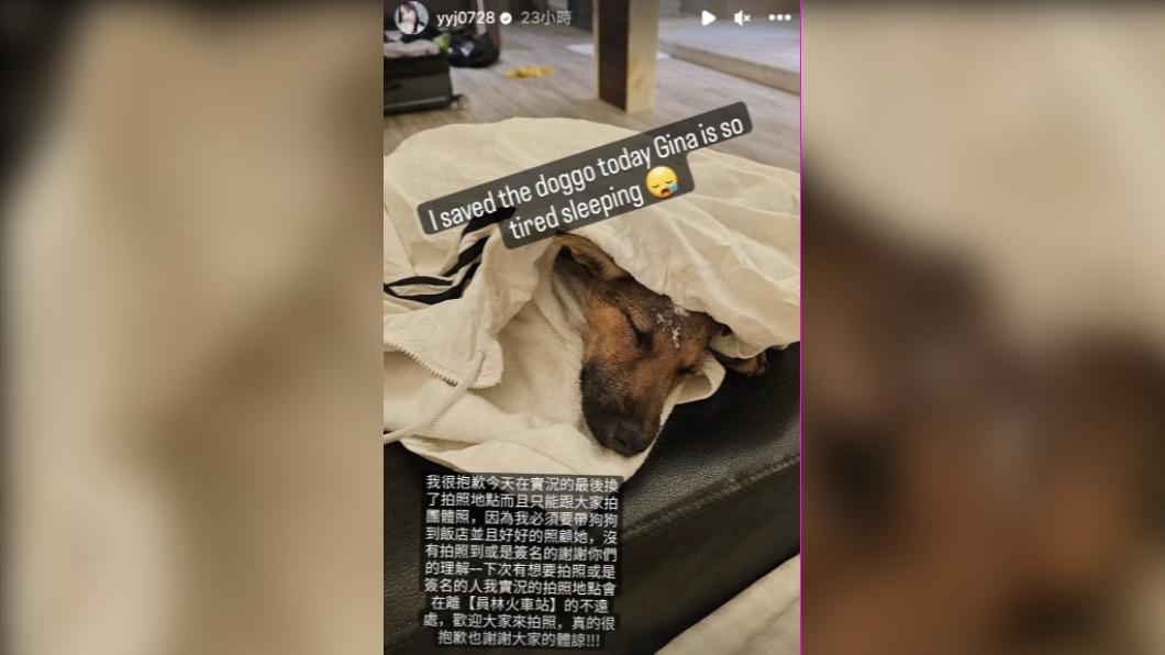 企鵝妹發限時跟觀眾道歉。（圖／翻攝自企鵝妹IG）