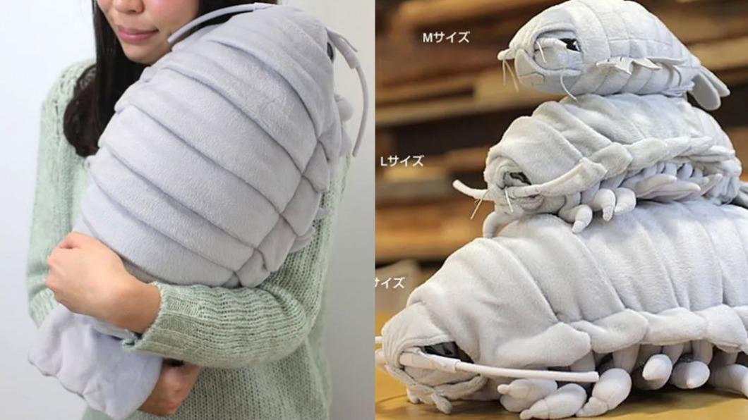趕新潮!「大王具足蟲」逼真玩偶曝光 網笑:刷新三觀