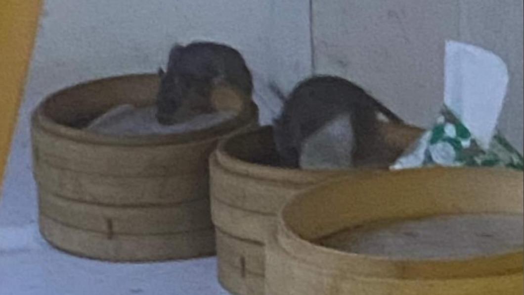 網友到北市大安一間24小時的餐廳用餐，裝醬料時看到兩隻老鼠。（圖／翻攝自爆怨公社）