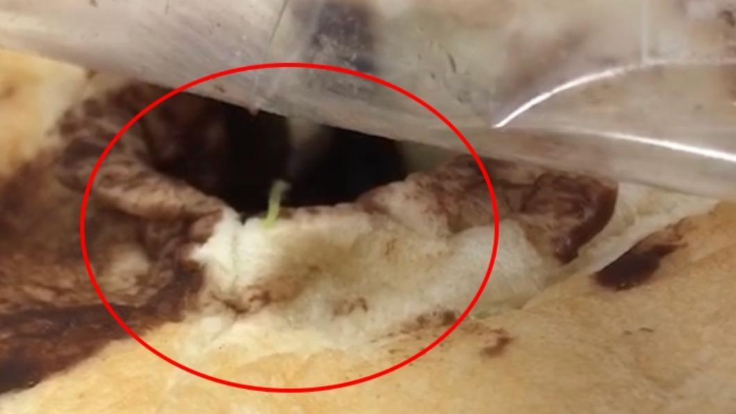 營養午餐有蟲!黑心廠商爆「供應學童劣質食材」 4人遭起訴