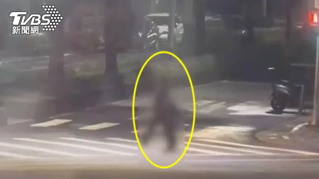 北市女酒後返家闖紅燈 車來不及閃、人撞擋風玻璃傷重亡