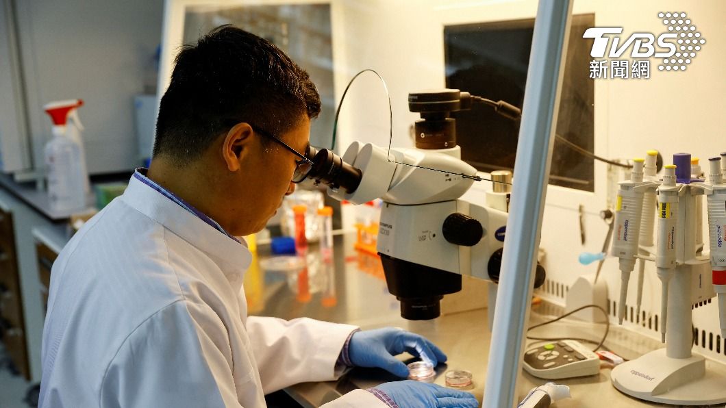 杜拜再生生物科技中心(Reproductive Biotechnology Centre in Dubai)每年可複製數十隻駱駝。(圖/達志影像路透社)