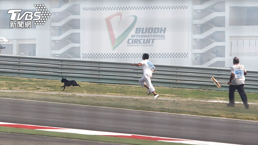 流放犬影響運動賽事的新聞對印度人來說屢見不鮮。圖為2011年一隻黑狗在比賽開始前，衝進f1比賽場地。（圖／達志影像路透社）