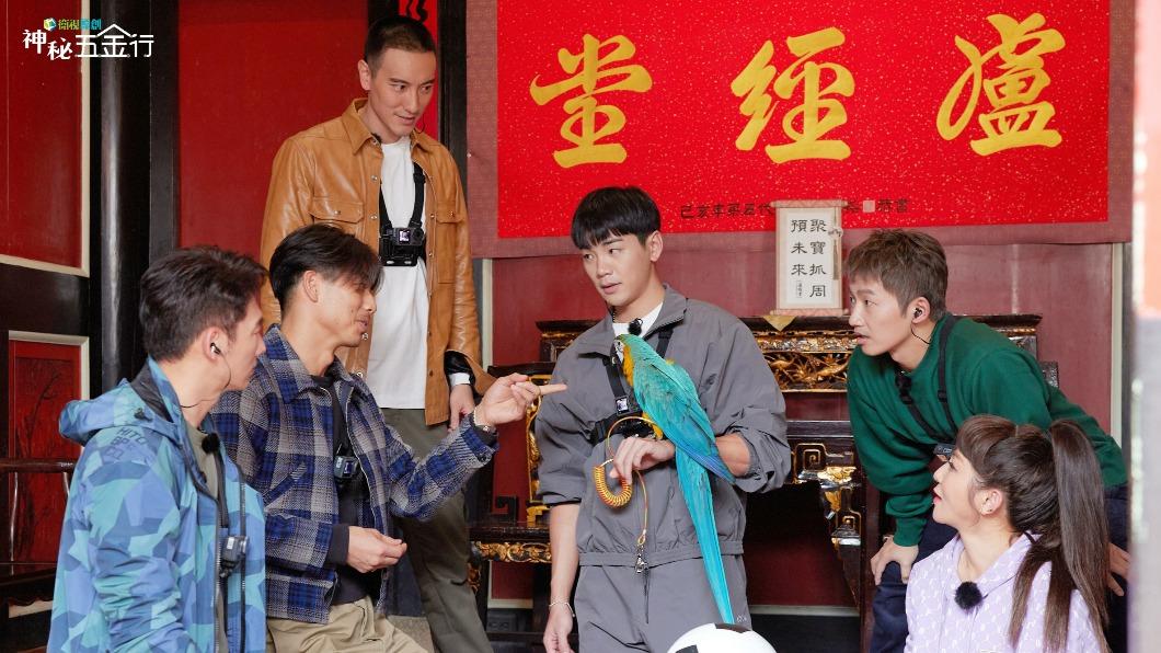 温昇豪(左起)、AKIRA、王陽明、禾浩辰、蔡昌憲、王彩樺替鸚鵡「五金」舉辦抓周活動。(圖/衛視原創提供)
