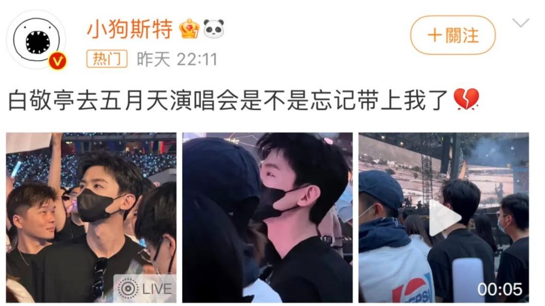 白敬亭去看五月天被拍到。(圖/翻攝自小狗斯特微博)