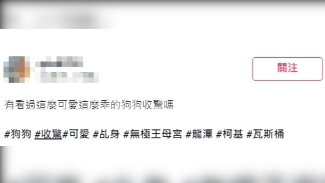原PO直呼「有看過這麼可愛這麼乖的狗狗收驚嗎?」(圖/翻攝自抖音)
