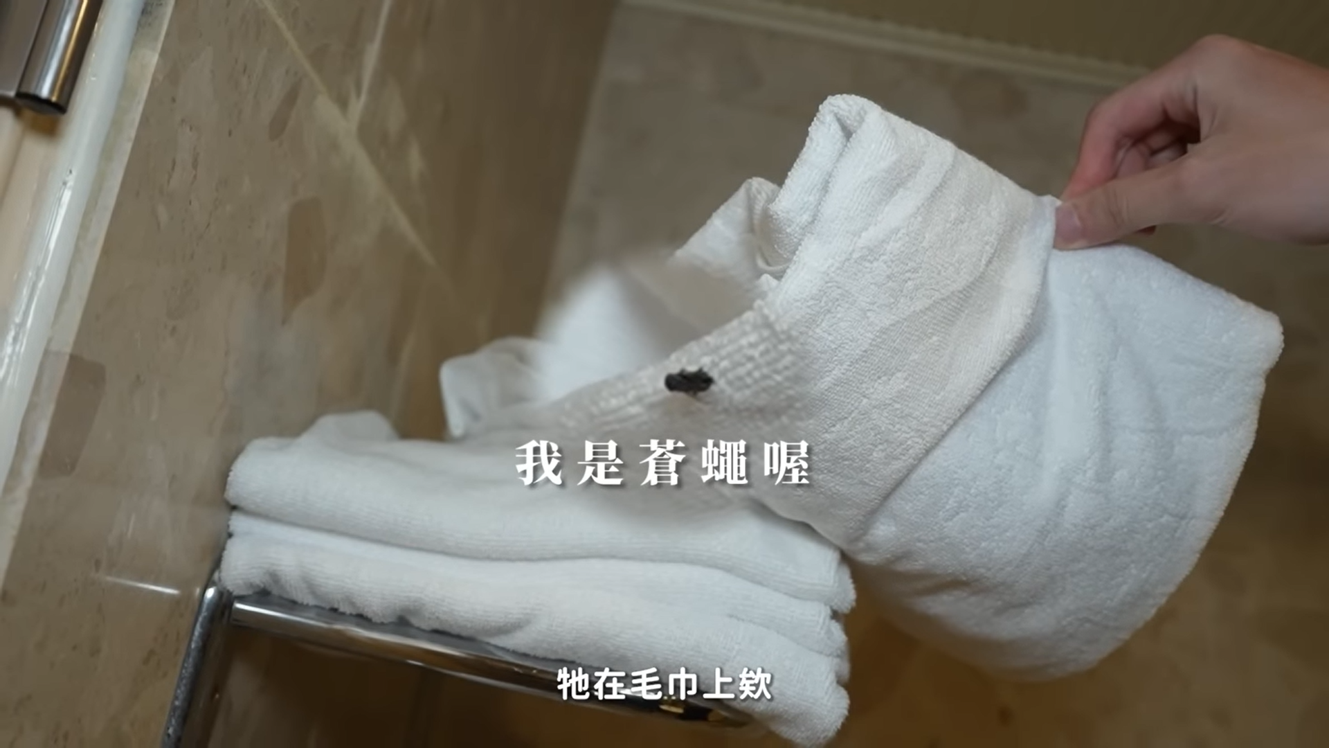 還未使用毛巾掀開竟有蒼蠅。(圖/翻攝自 林嘉凌 薔薔MazeYouTube)