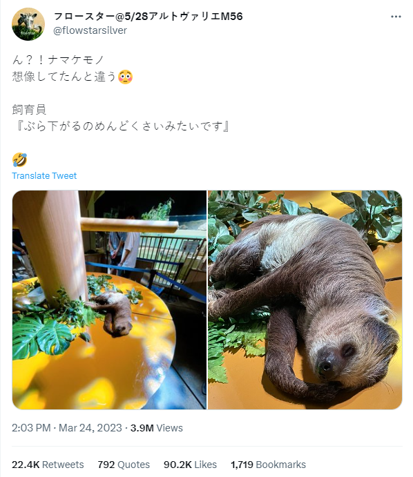 網友發文。(圖/翻攝自フロースター@5/28アルトヴァリエM56Twitter)