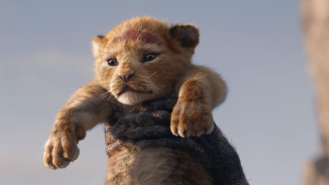 《獅子王》斬獲第89屆奧斯卡最佳視覺特效獎。(圖/翻攝自IMDB)