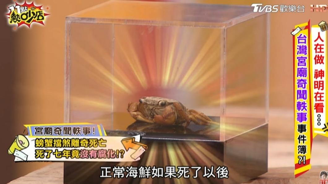 熊熊把「阿雷」帶上節目。(圖/11點熱吵店YouTube)