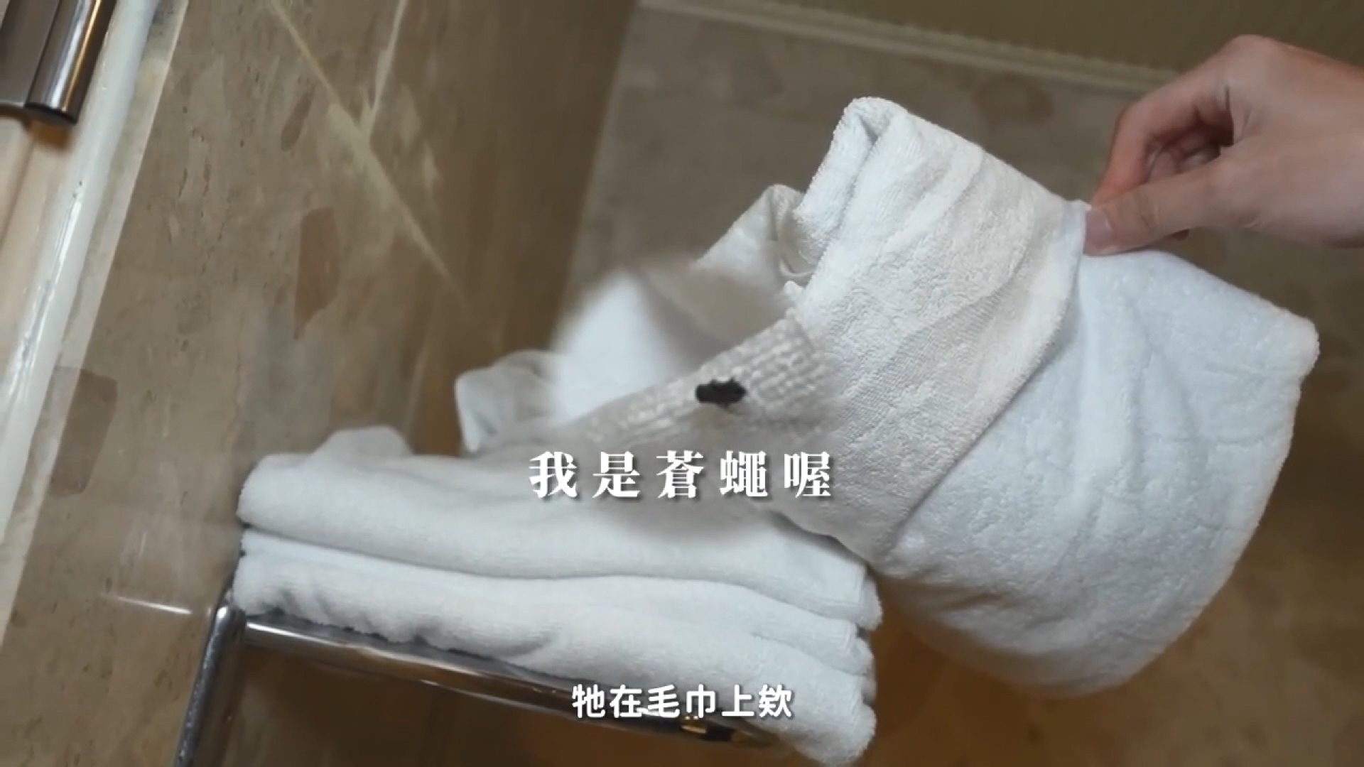 圖/翻攝自YouTube 林嘉凌薔薔Maze